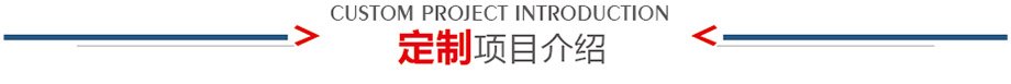 定制項目介紹